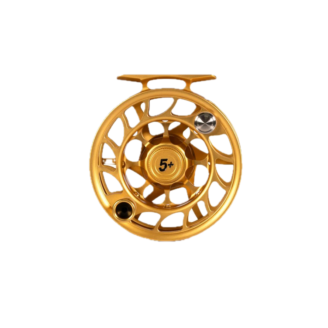 Hatch Iconic Fools Gold 5+